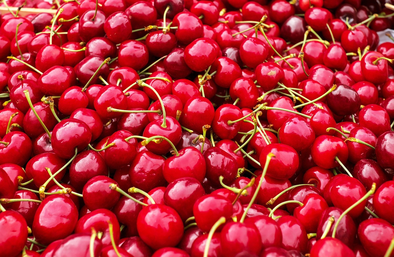 Cherry Clafoutis